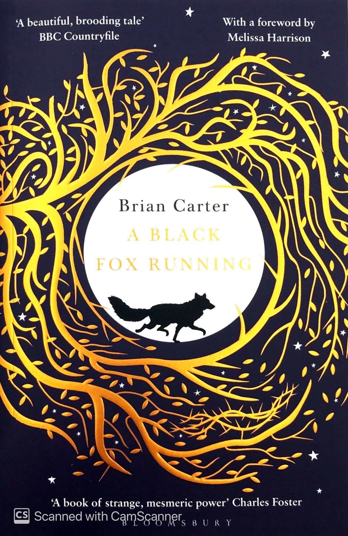 A Black Fox Running by Brian Carter