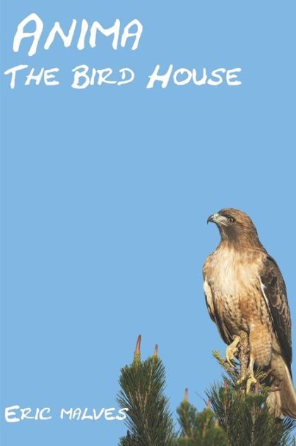 Anima: The Bird House by Eric Malves